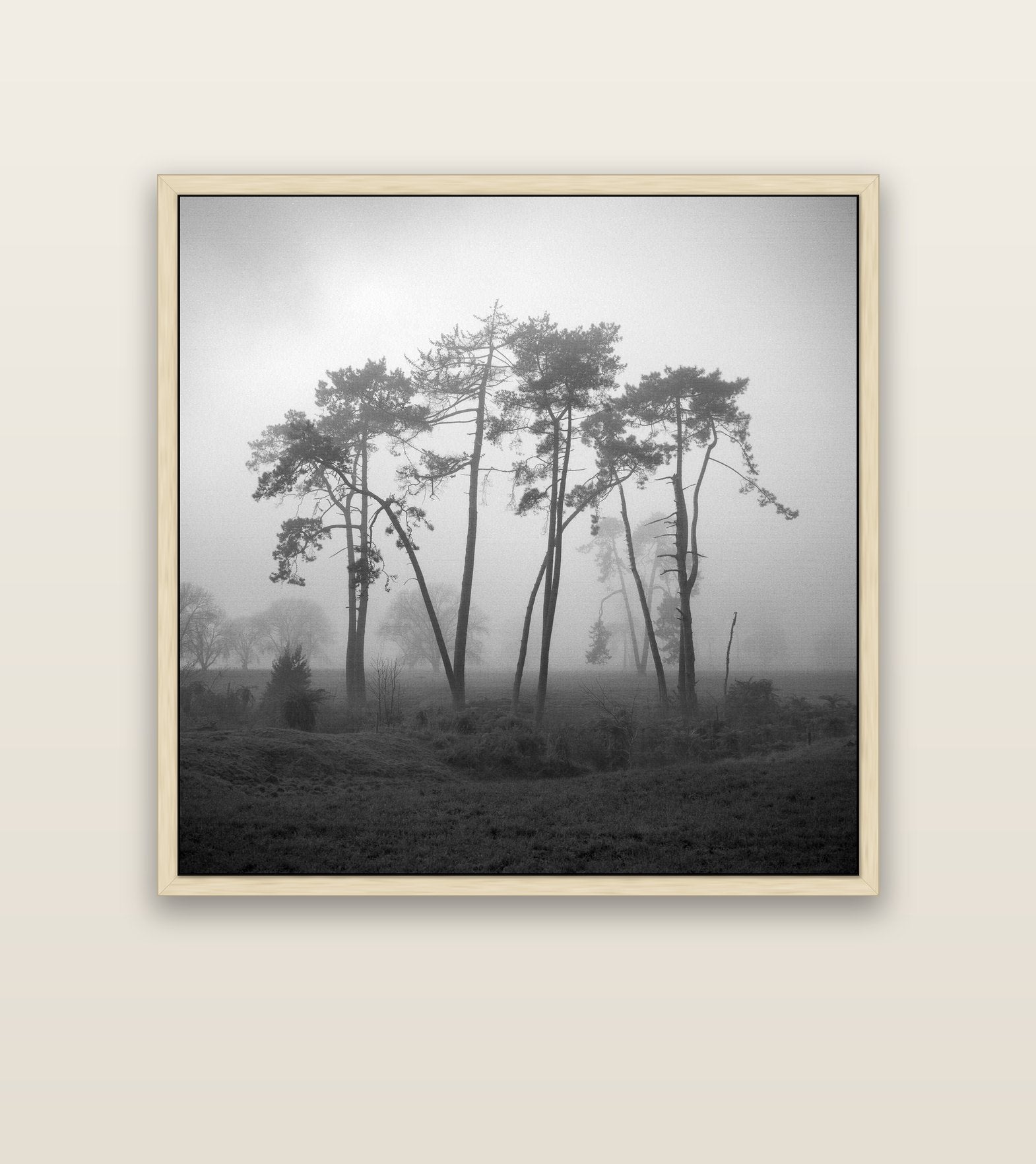 Together, Waikato — natural float frame canvas, 127 × 127 cm. New Zealand fine art landscape wall art by Stephen Milner.