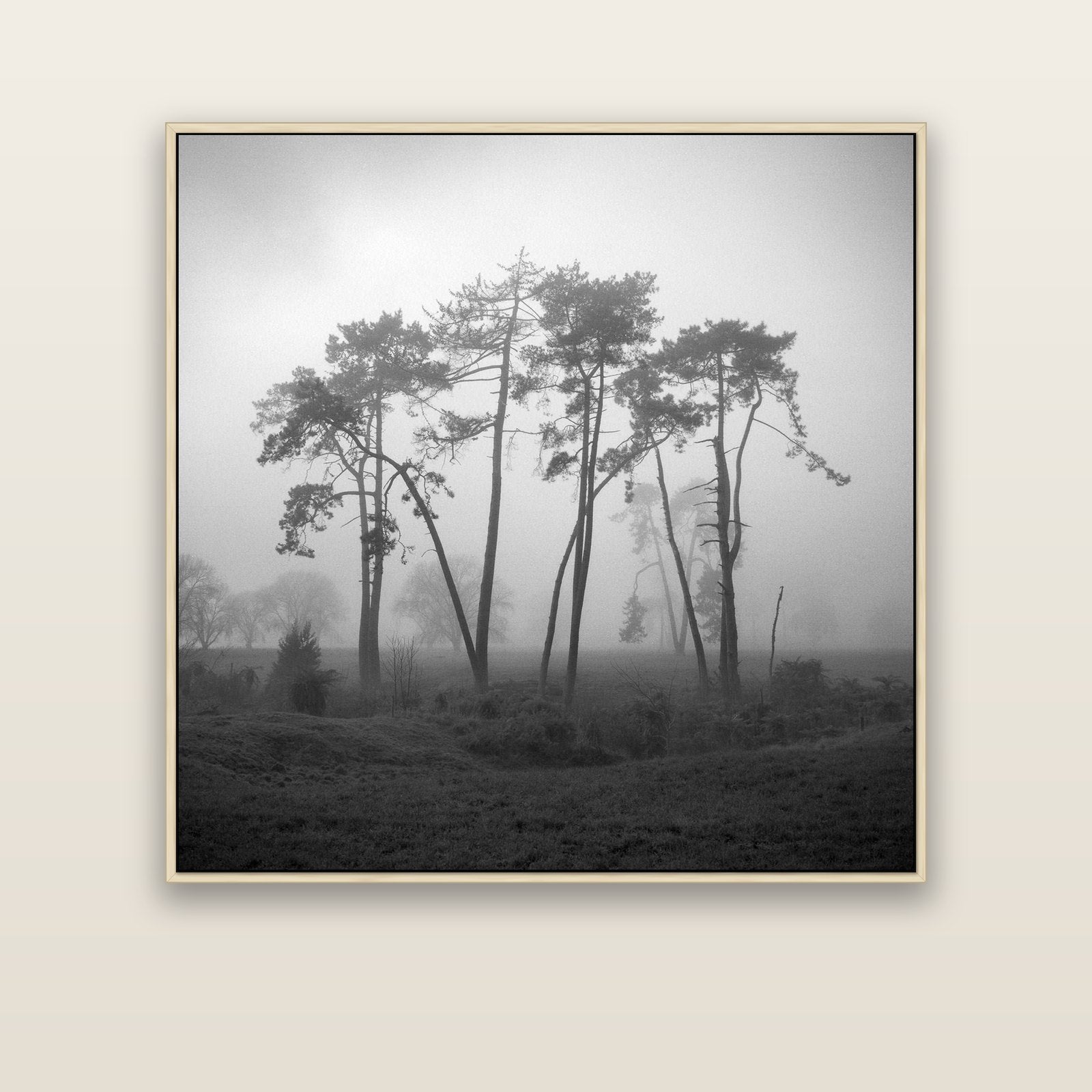 Together, Waikato — natural float frame canvas, 127 × 127 cm. New Zealand fine art landscape wall art by Stephen Milner.