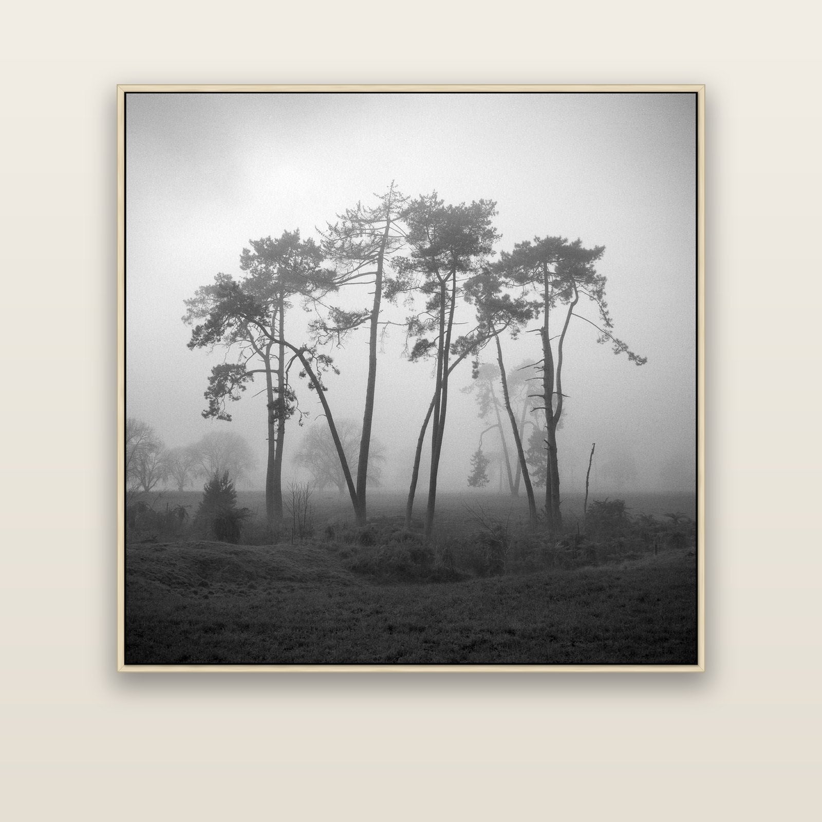 Together, Waikato — natural float frame canvas, 133 × 133 cm. New Zealand fine art landscape wall art by Stephen Milner.