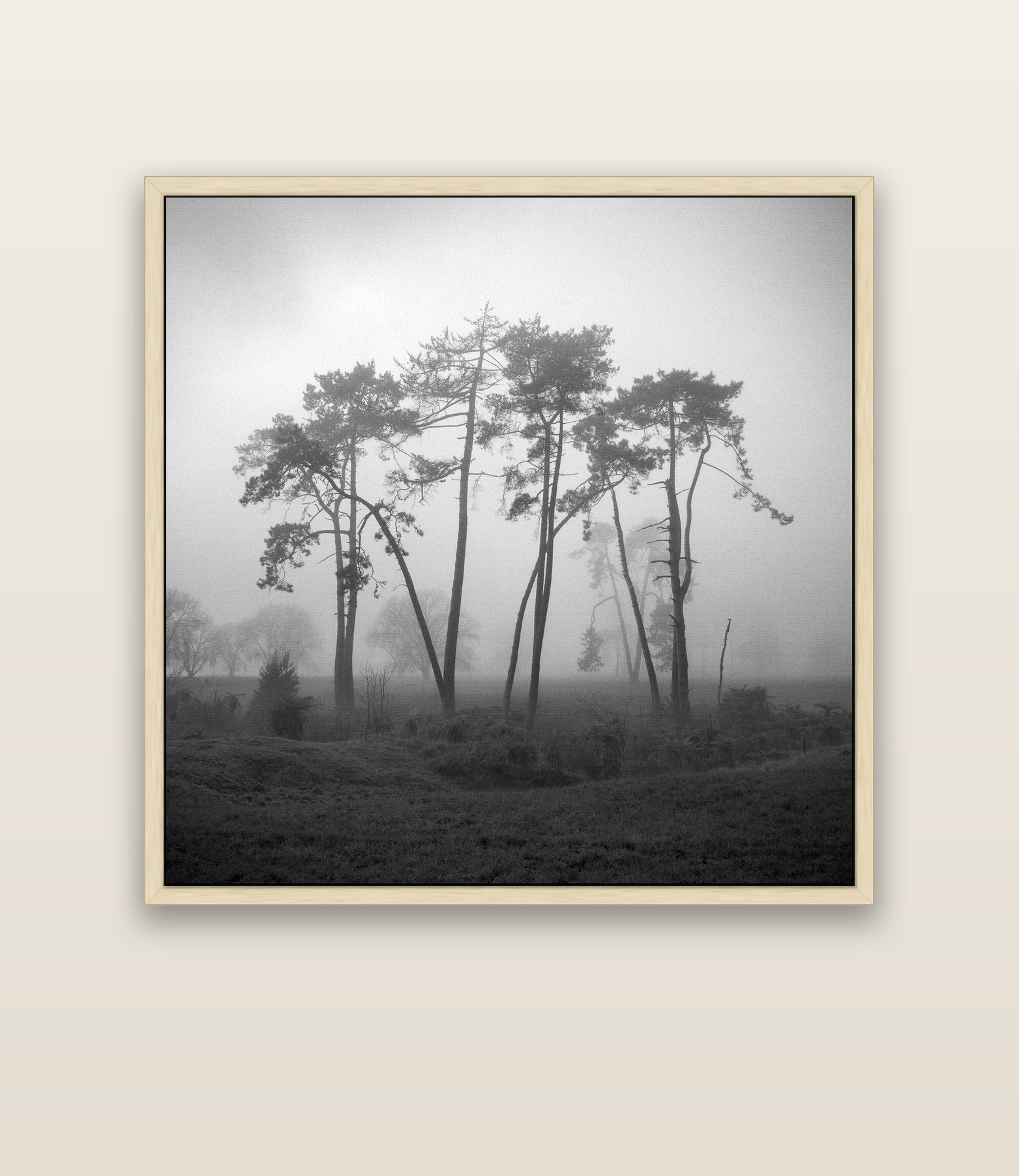 Together, Waikato — natural float frame canvas, 133 × 133 cm. New Zealand fine art landscape wall art by Stephen Milner.