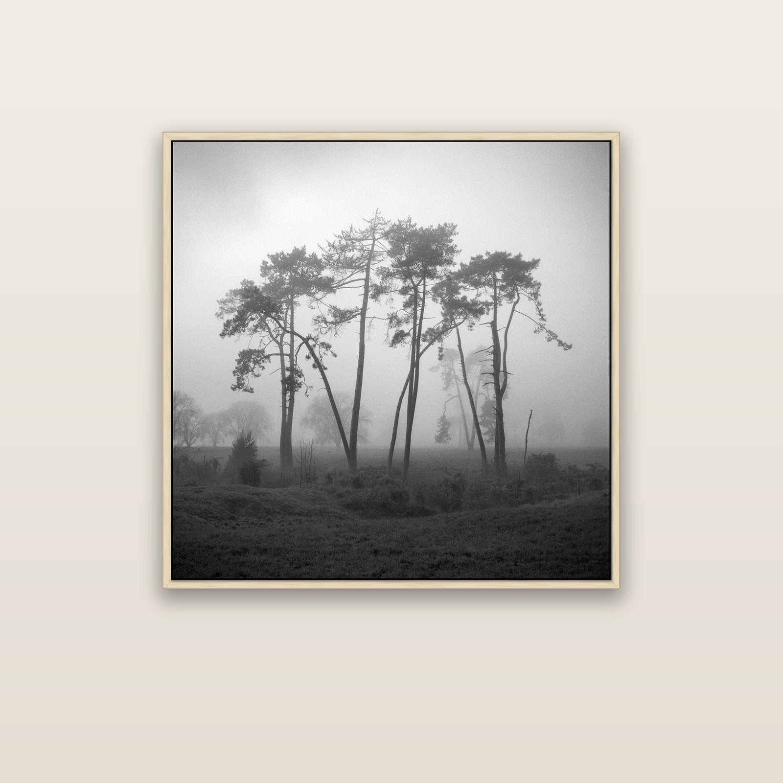 Together, Waikato — natural float frame canvas, 91 × 91 cm. New Zealand fine art landscape wall art by Stephen Milner.