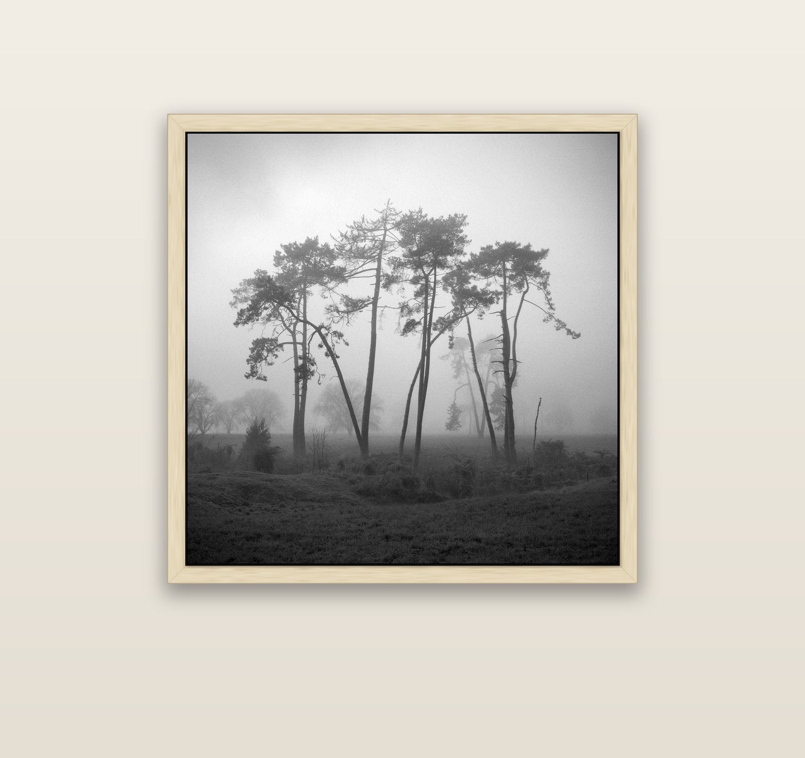 Together, Waikato — natural float frame canvas, 91 × 91 cm. New Zealand fine art landscape wall art by Stephen Milner.
