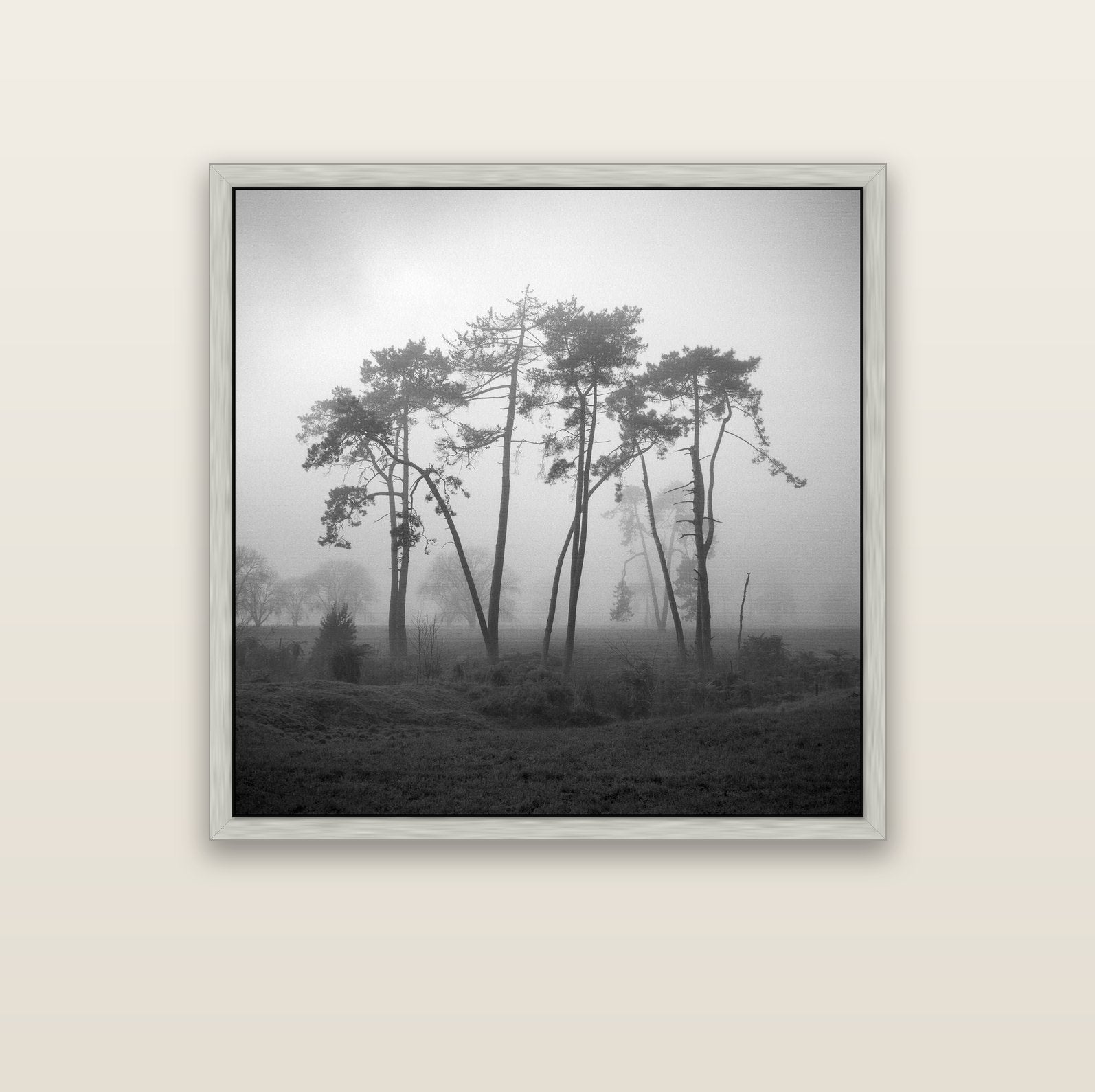 Together, Waikato — silver float frame canvas, 102 × 102 cm. New Zealand fine art landscape wall art by Stephen Milner.