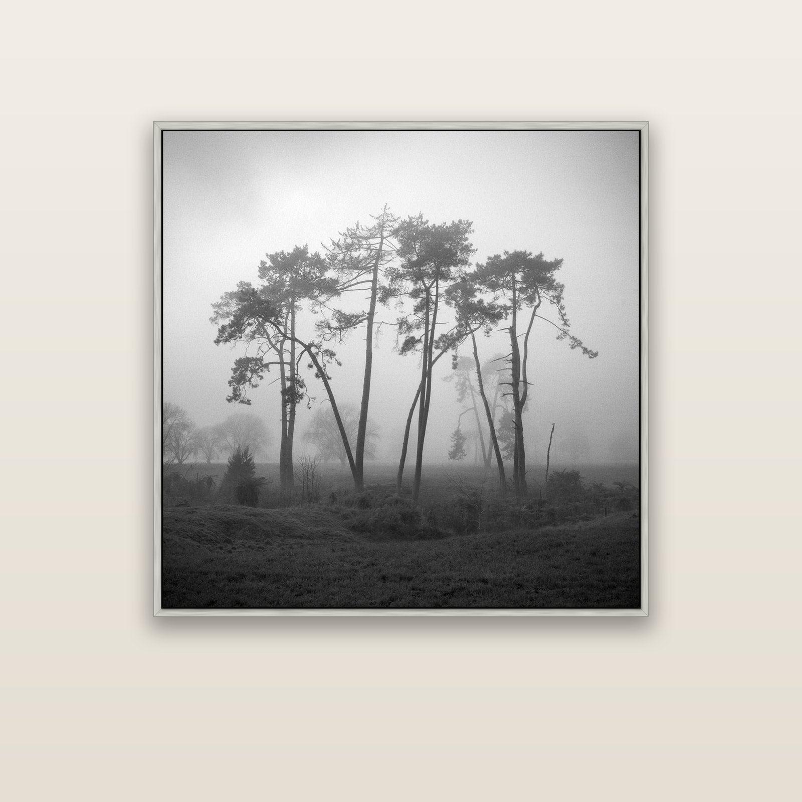 Together, Waikato — silver float frame canvas, 102 × 102 cm. New Zealand fine art landscape wall art by Stephen Milner.