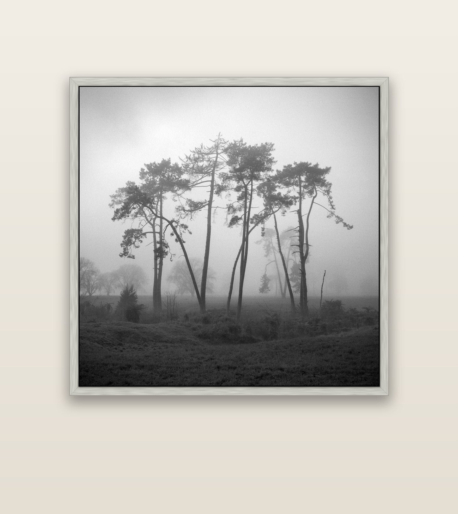 Together, Waikato — silver float frame canvas, 127 × 127 cm. New Zealand fine art landscape wall art by Stephen Milner.