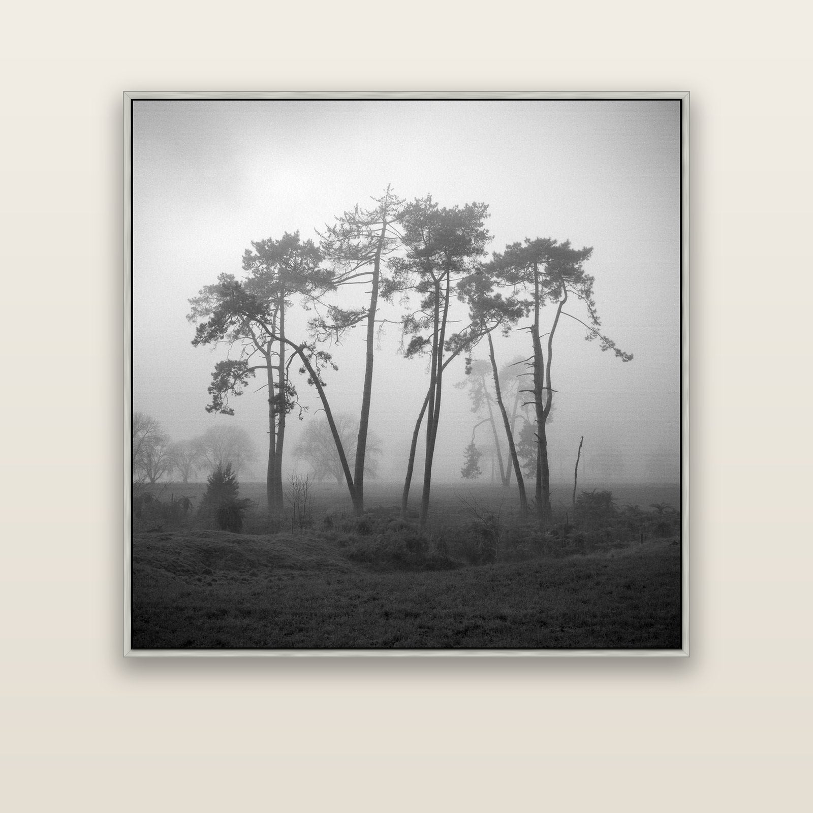 Together, Waikato — silver float frame canvas, 127 × 127 cm. New Zealand fine art landscape wall art by Stephen Milner.