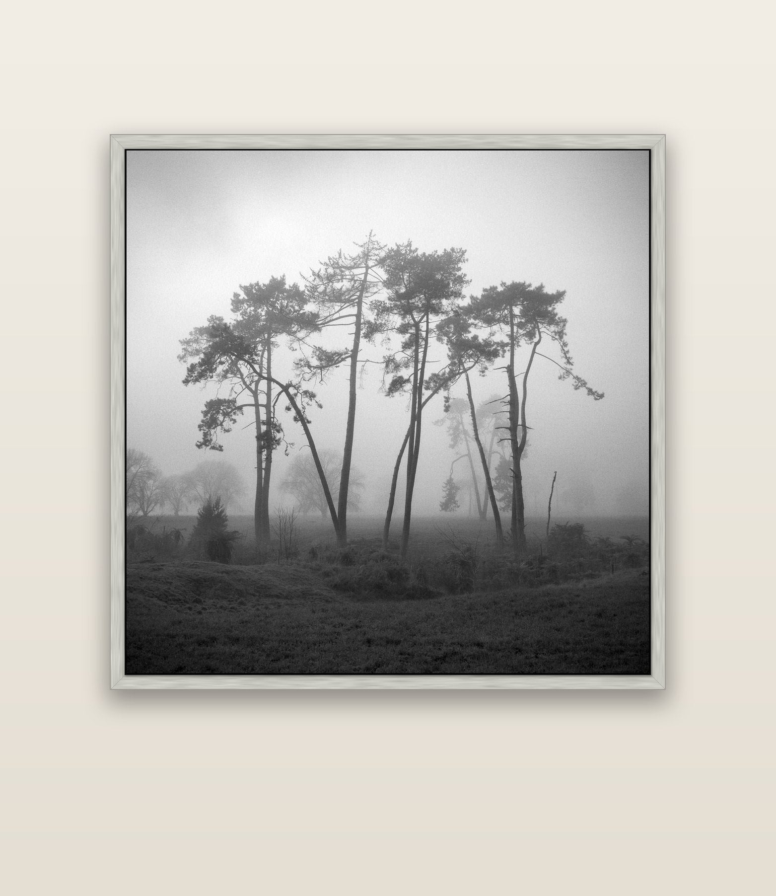 Together, Waikato — silver float frame canvas, 133 × 133 cm. New Zealand fine art landscape wall art by Stephen Milner.