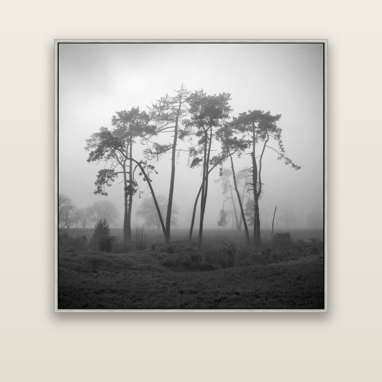 Together, Waikato — silver float frame canvas, 133 × 133 cm. New Zealand fine art landscape wall art by Stephen Milner.