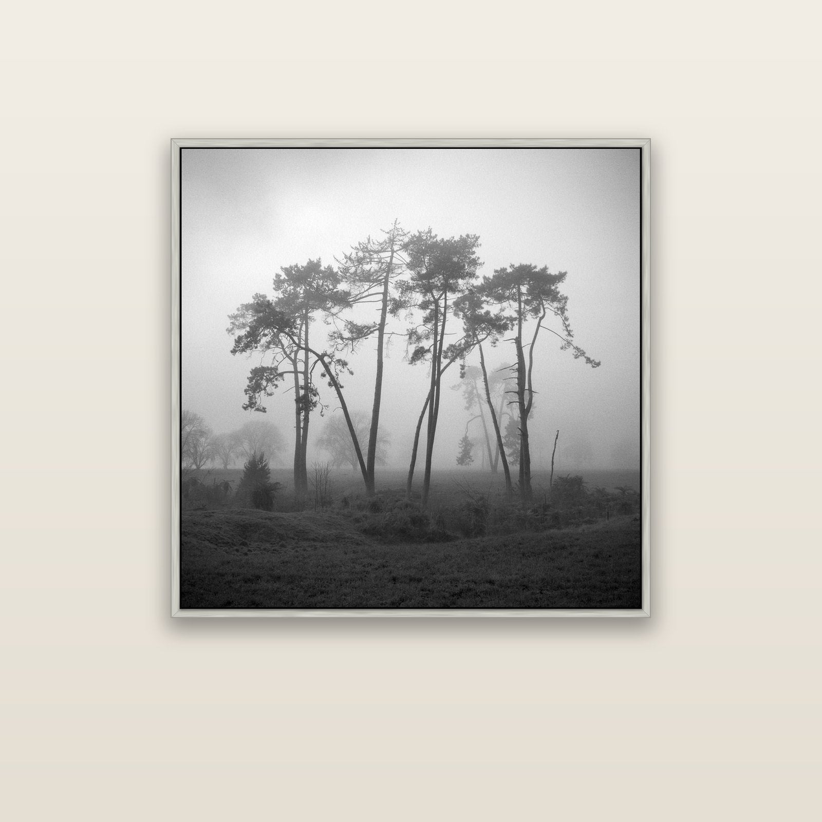 Together, Waikato — silver float frame canvas, 91 × 91 cm. New Zealand fine art landscape wall art by Stephen Milner.