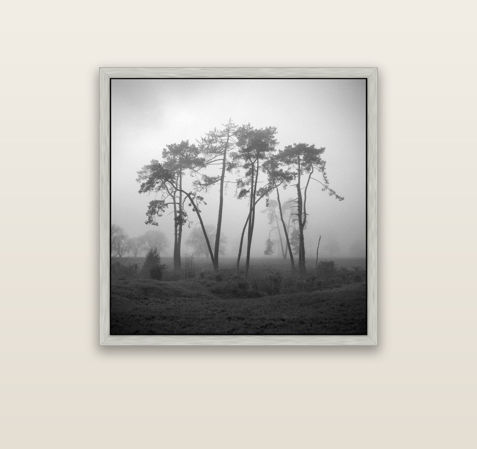 Together, Waikato — silver float frame canvas, 91 × 91 cm. New Zealand fine art landscape wall art by Stephen Milner.