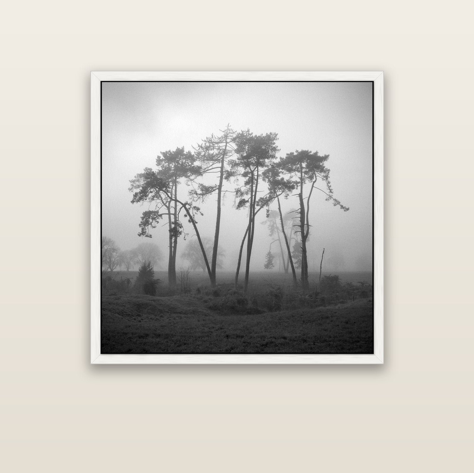 Together, Waikato — white float frame canvas, 102 × 102 cm. New Zealand fine art landscape wall art by Stephen Milner.