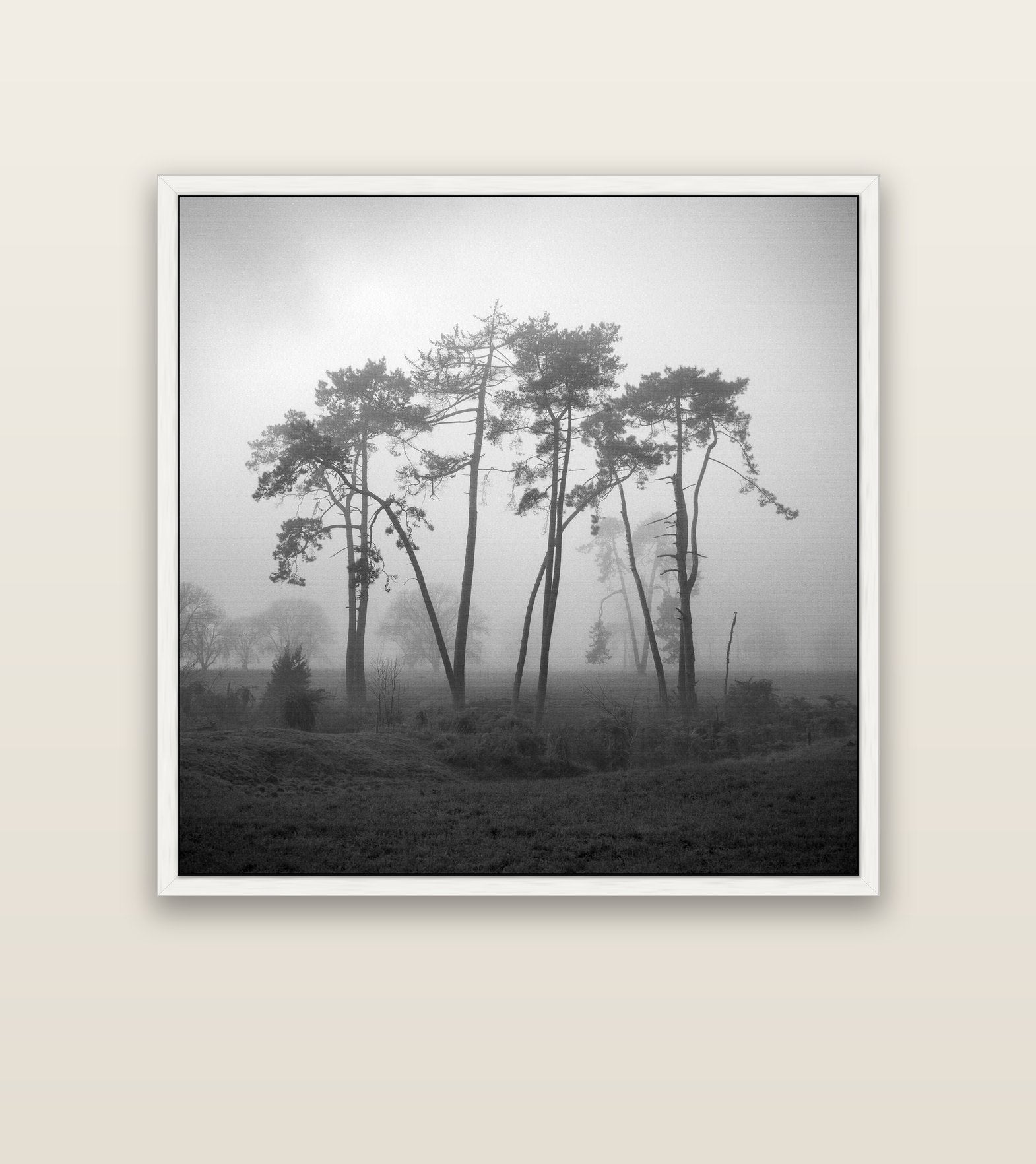 Together, Waikato — white float frame canvas, 127 × 127 cm. New Zealand fine art landscape wall art by Stephen Milner.