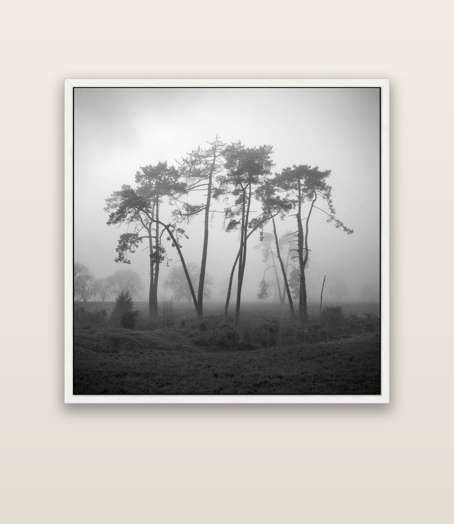 Together, Waikato — white float frame canvas, 133 × 133 cm. New Zealand fine art landscape wall art by Stephen Milner.