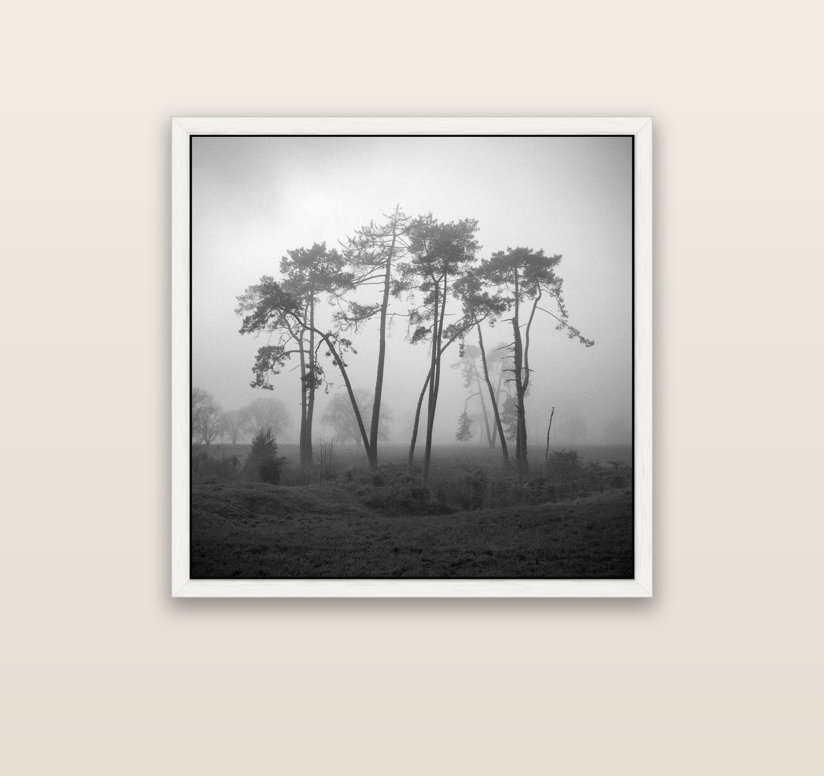 Together, Waikato — white float frame canvas, 91 × 91 cm. New Zealand fine art landscape wall art by Stephen Milner.