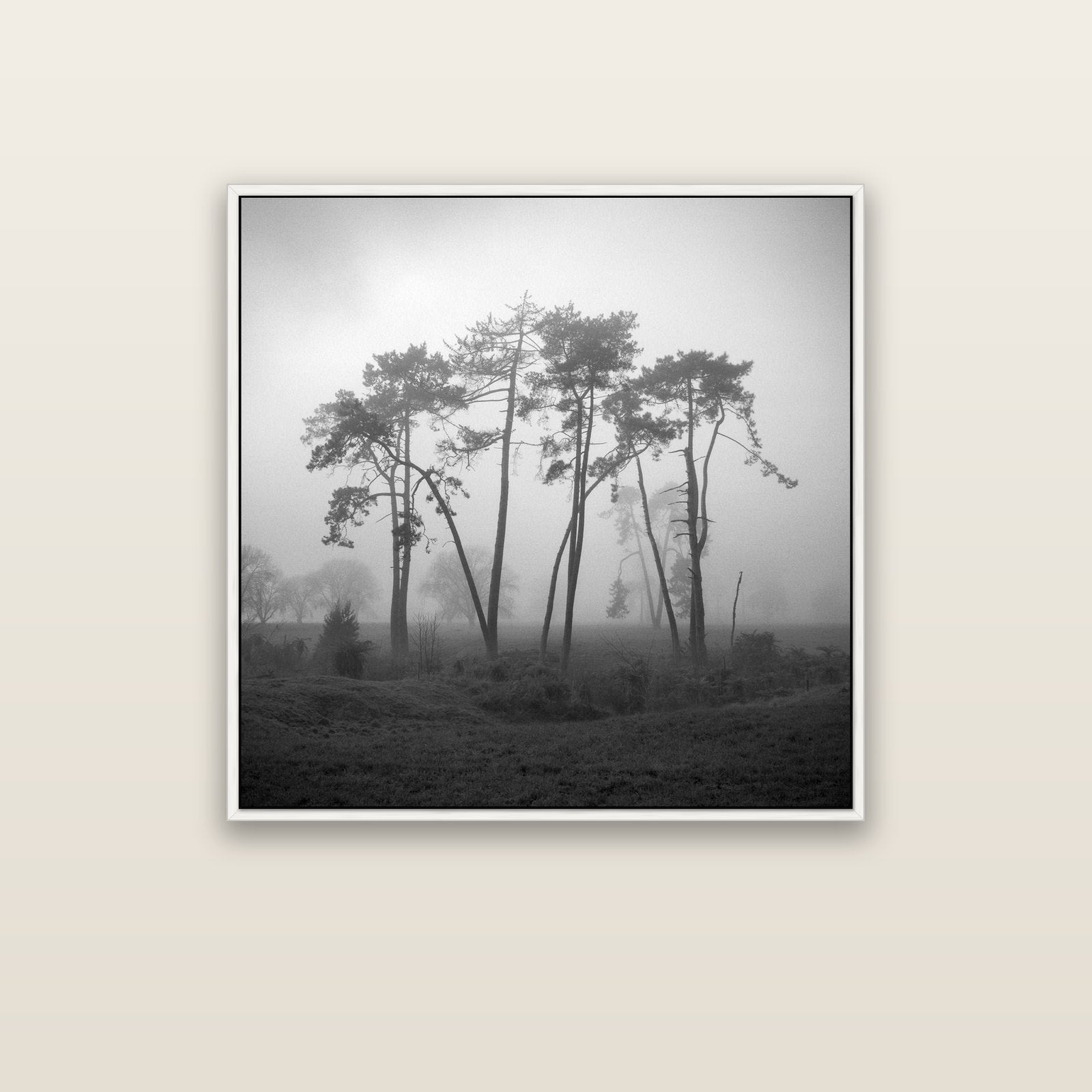 Together, Waikato — white float frame canvas, 91 × 91 cm. New Zealand fine art landscape wall art by Stephen Milner.
