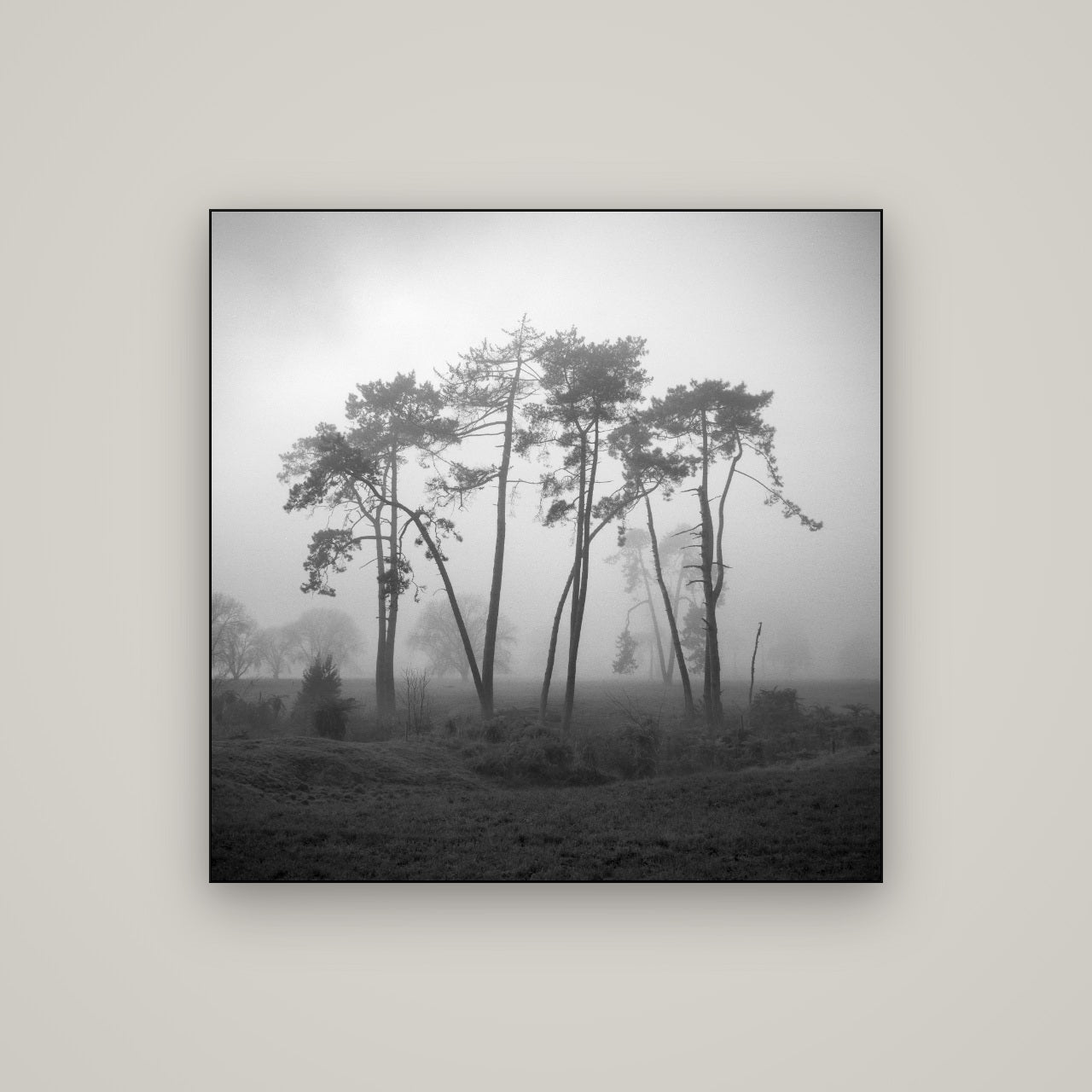 Together, Waikato — Slimline Black, 100×100 cm. New Zealand fine art wall art by Stephen Milner.