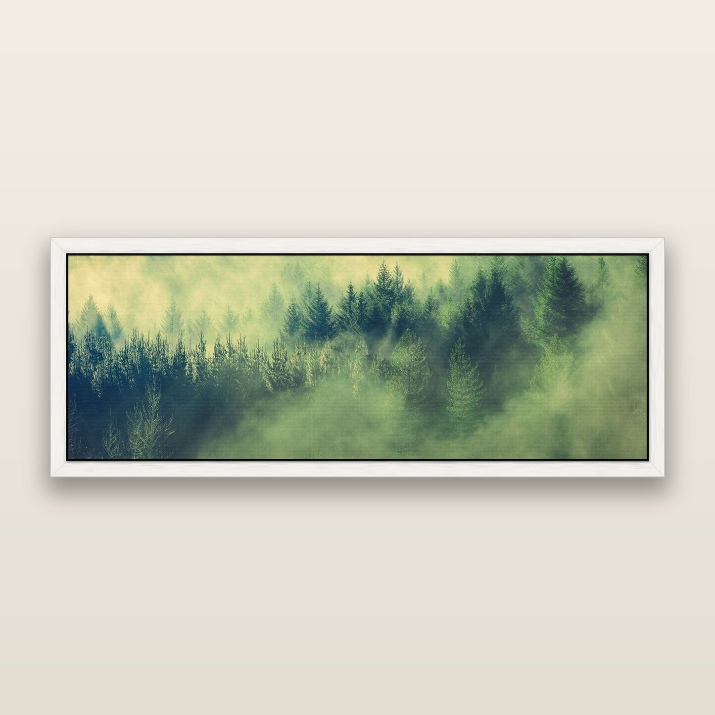 Transitions, Rotorua Redwoods — framed metallic canvas print, White frame. New Zealand fine art landscape wall art by Stephen Milner.