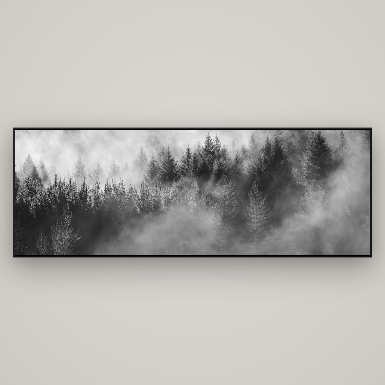Transitions, Rotorua Redwoods — ArtBox Black, 198×70 cm. New Zealand fine art wall art by Stephen Milner.