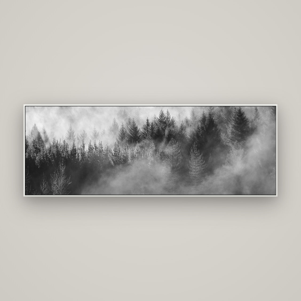 Transitions, Rotorua Redwoods — ArtBox White, 170×60 cm. New Zealand fine art wall art by Stephen Milner.