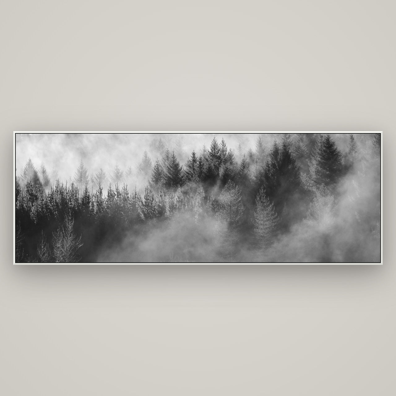 Transitions, Rotorua Redwoods — ArtBox White, 198×70 cm. New Zealand fine art wall art by Stephen Milner.