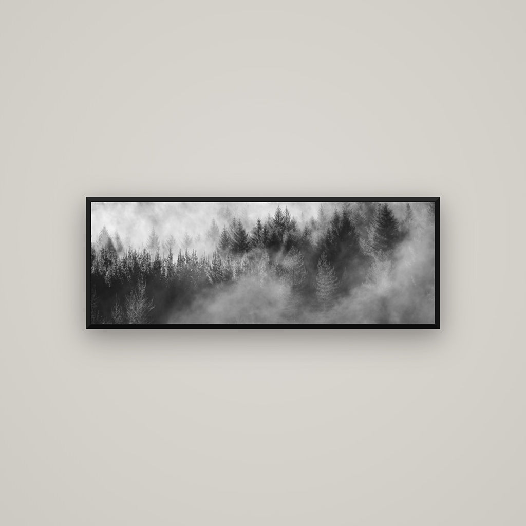 Transitions, Rotorua Redwoods — Basel Black Matte, 113×40 cm. New Zealand fine art wall art by Stephen Milner.