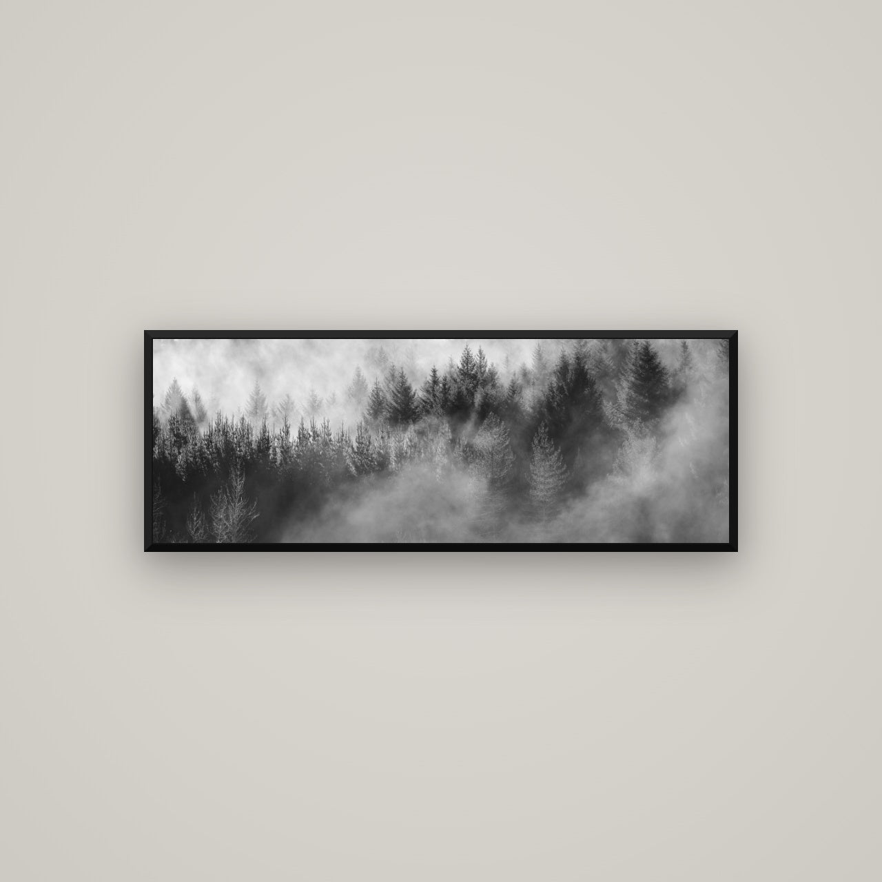 Transitions, Rotorua Redwoods — Basel Black, 113×40 cm. New Zealand fine art wall art by Stephen Milner.