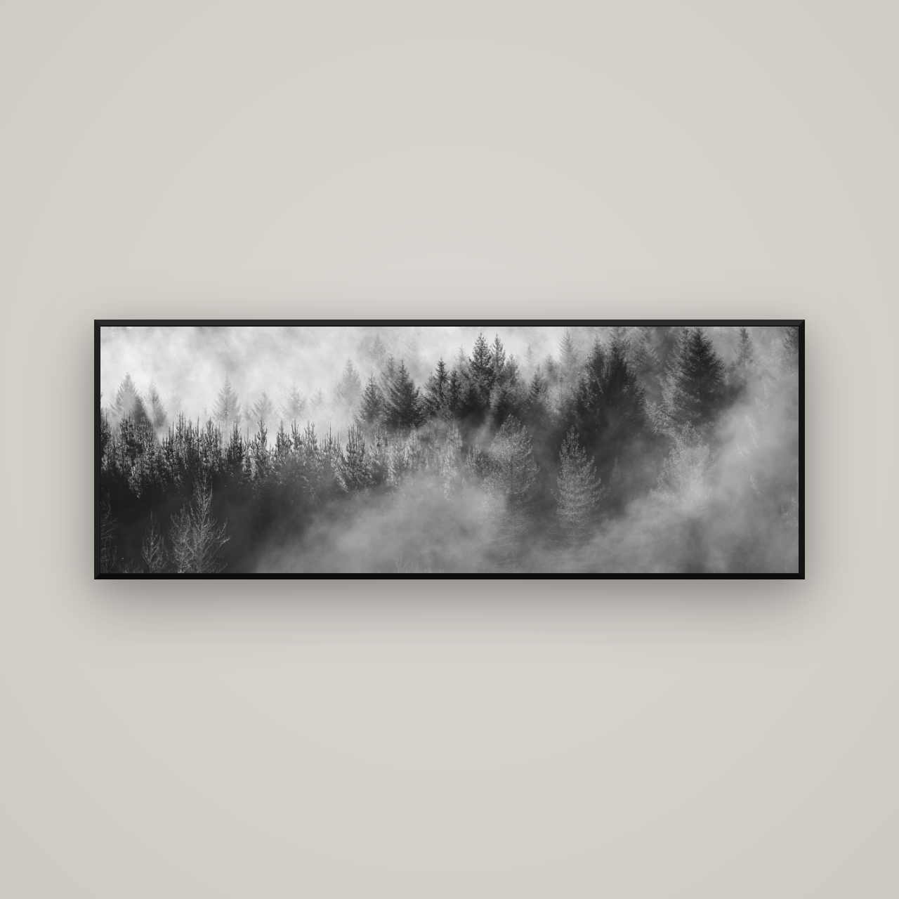 Transitions, Rotorua Redwoods — Basel Black Matte, 170×60 cm. New Zealand fine art wall art by Stephen Milner.