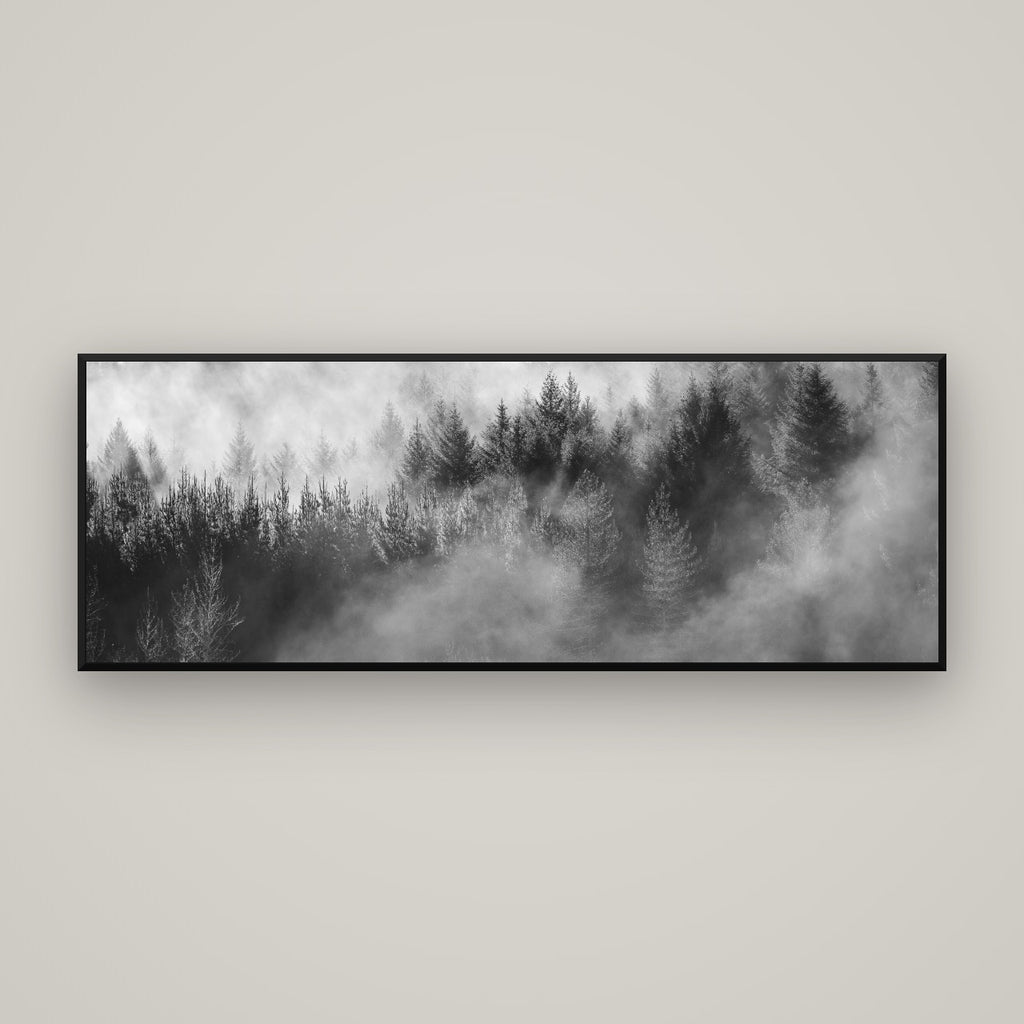 Transitions, Rotorua Redwoods — Basel Black Matte, 170×60 cm. New Zealand fine art wall art by Stephen Milner.