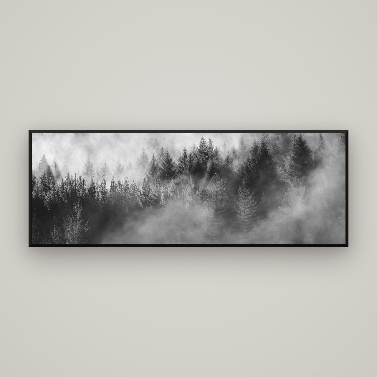 Transitions, Rotorua Redwoods — Basel Black, 170×60 cm. New Zealand fine art wall art by Stephen Milner.