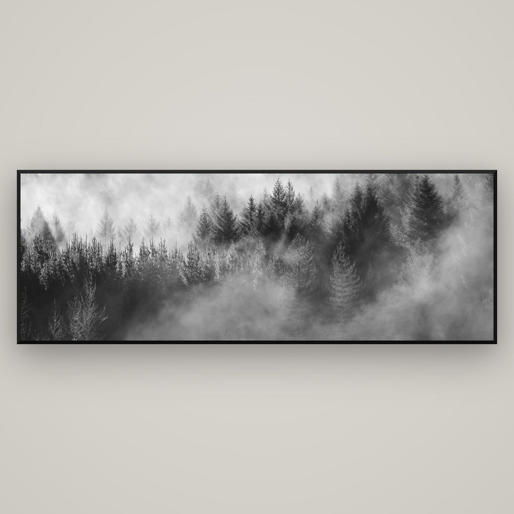 Transitions, Rotorua Redwoods — Basel Black, 198×70 cm. New Zealand fine art wall art by Stephen Milner.