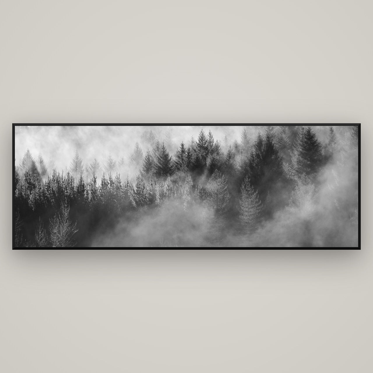 Transitions, Rotorua Redwoods — Basel Black, 198×70 cm. New Zealand fine art wall art by Stephen Milner.