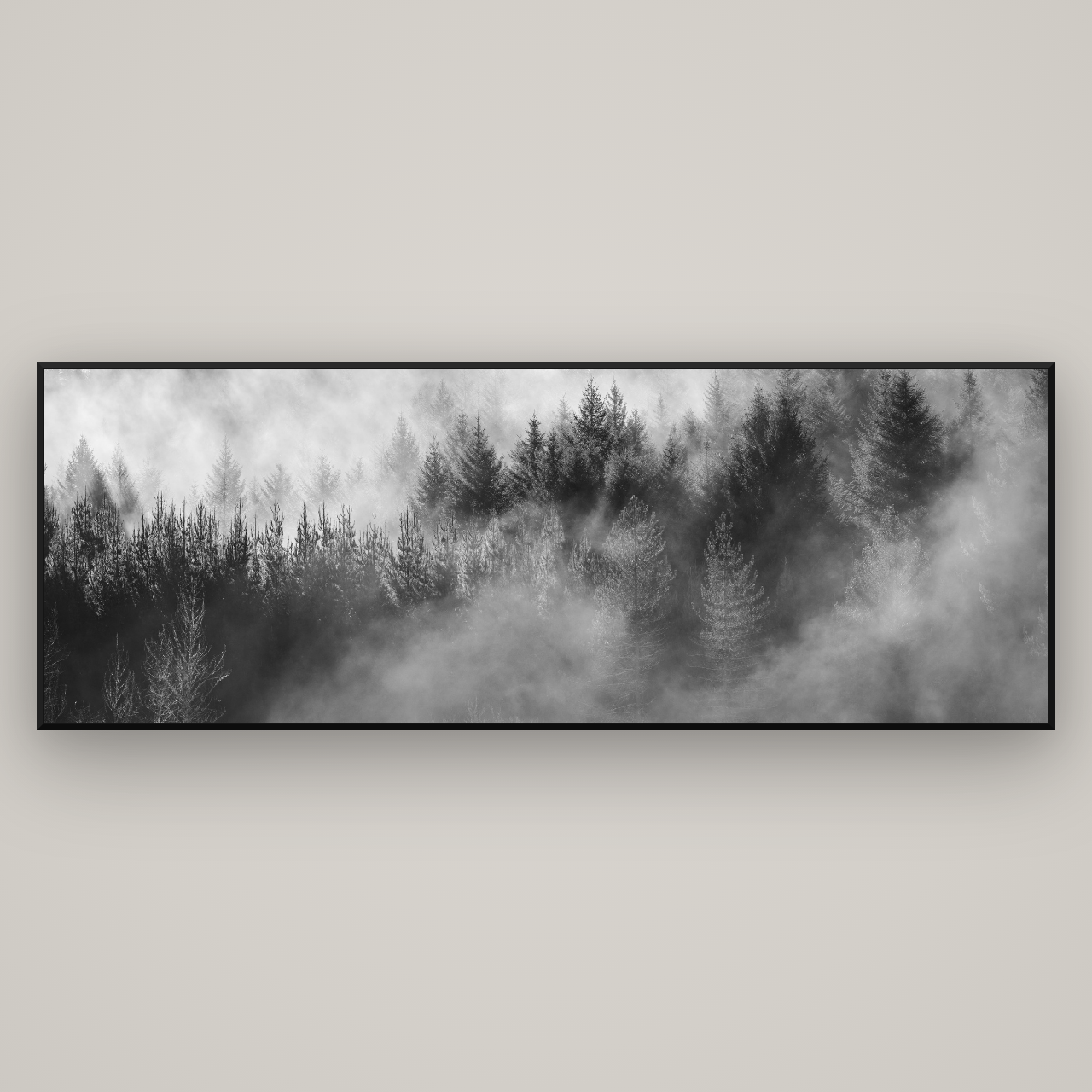 Transitions, The Redwoods — Basel Black Matte, 227×80 cm. New Zealand fine art wall art by Stephen Milner.