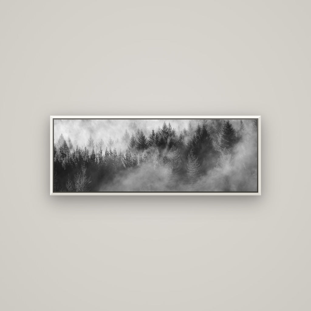 Transitions, Rotorua Redwoods — Basel White, 113×40 cm. New Zealand fine art wall art by Stephen Milner.