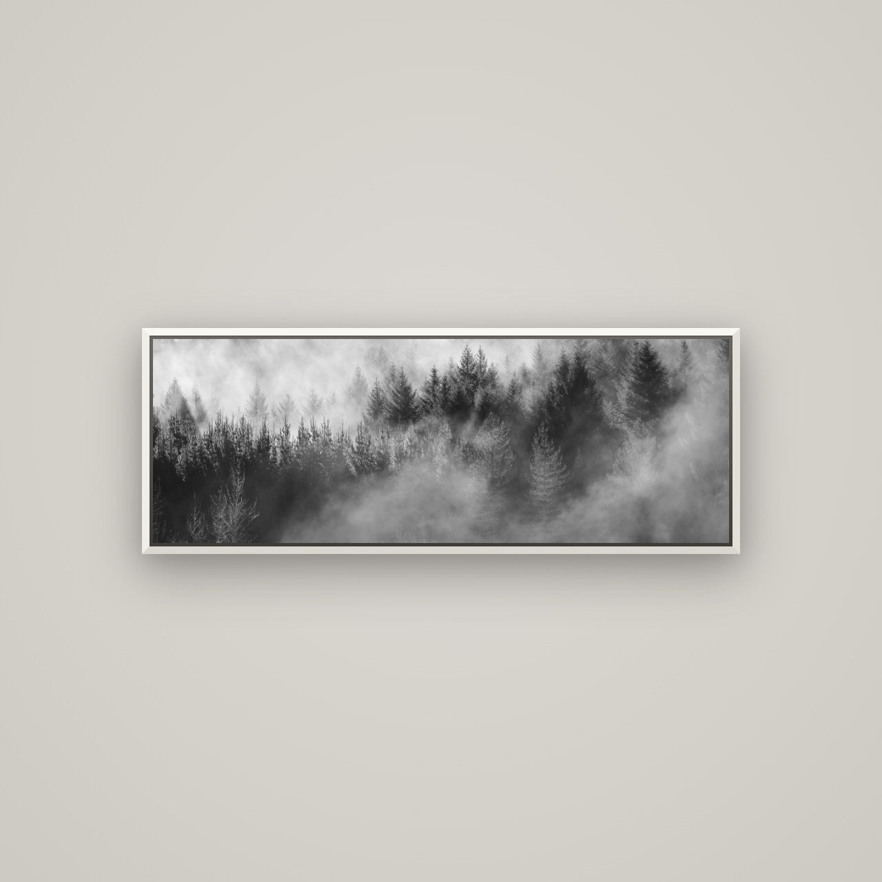 Transitions, Rotorua Redwoods — Basel White, 113×40 cm. New Zealand fine art wall art by Stephen Milner.