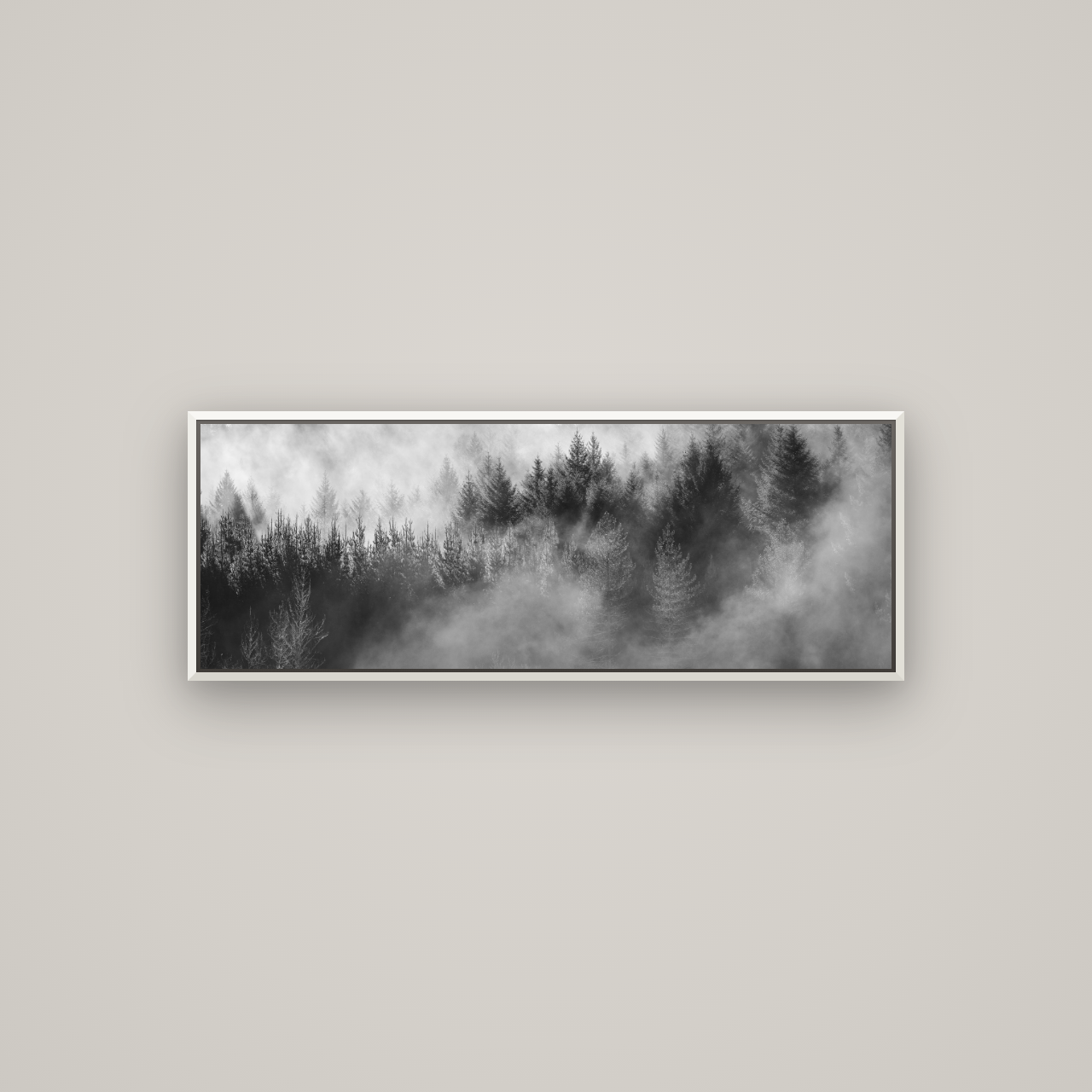 Transitions, Rotorua Redwoods — Basel White, 113×40 cm. New Zealand fine art wall art by Stephen Milner.