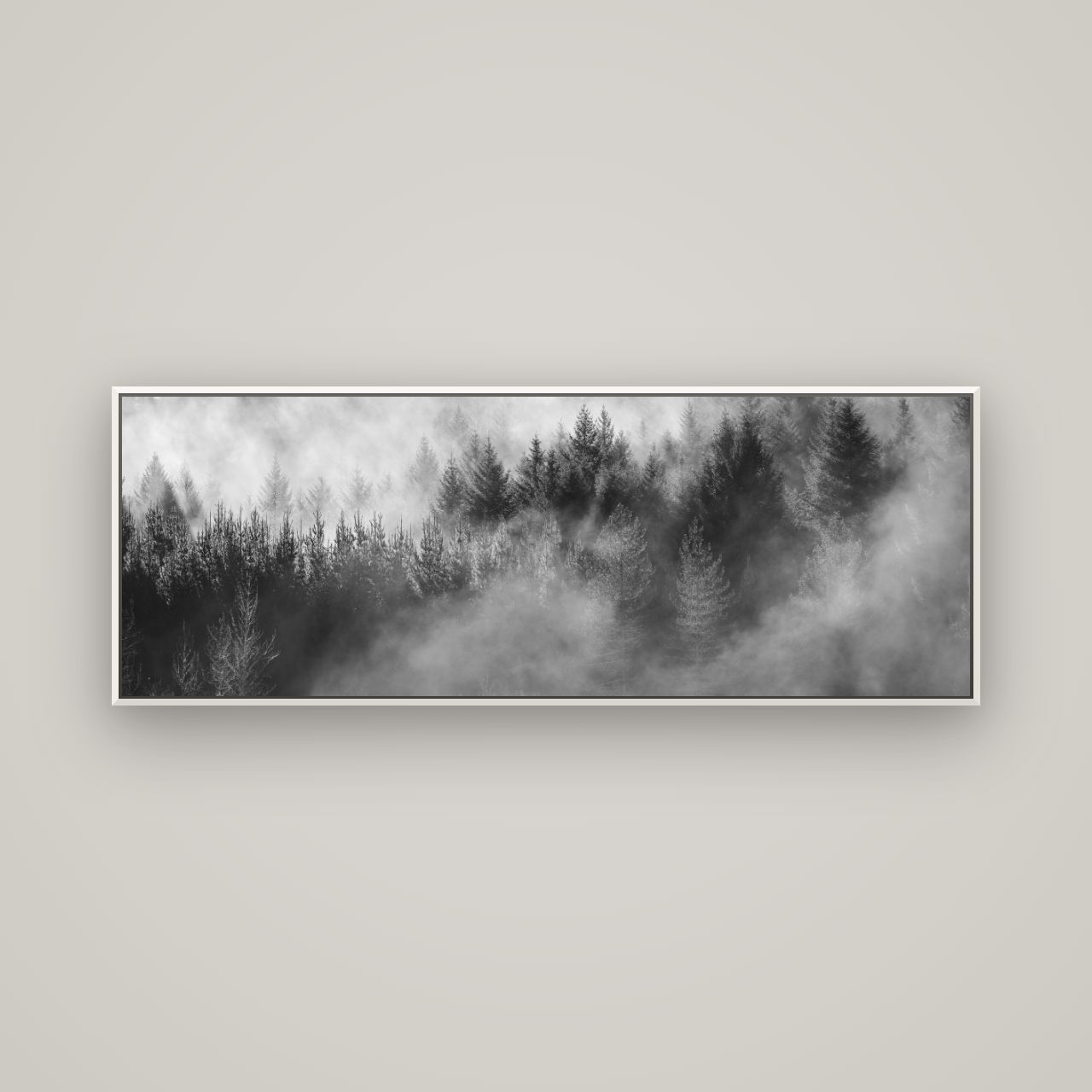 Transitions, Rotorua Redwoods — Basel White, 170×60 cm. New Zealand fine art wall art by Stephen Milner.