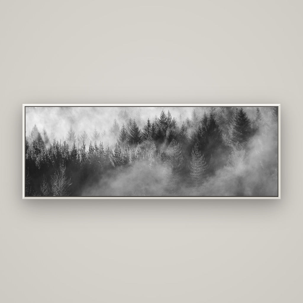 Transitions, Rotorua Redwoods — Basel White, 170×60 cm. New Zealand fine art wall art by Stephen Milner.