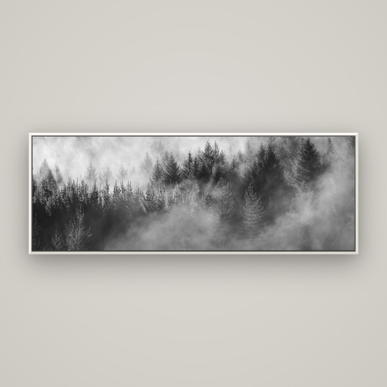 Transitions, Rotorua Redwoods — Basel White, 170×60 cm. New Zealand fine art wall art by Stephen Milner.