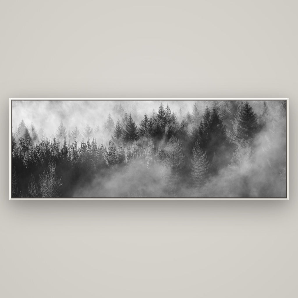 Transitions, Rotorua Redwoods — Basel White, 198×70 cm. New Zealand fine art wall art by Stephen Milner.