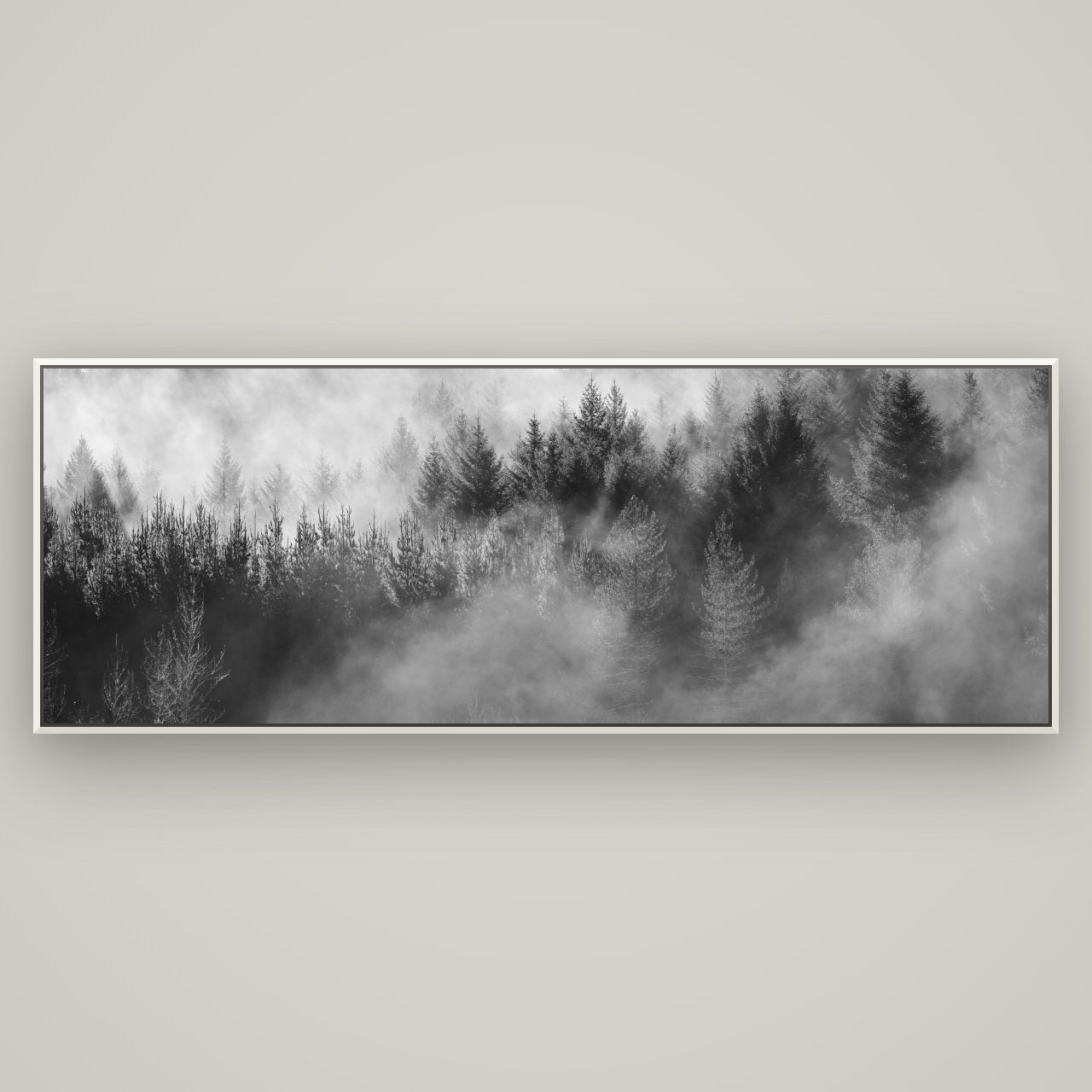Transitions, Rotorua Redwoods — Basel White, 198×70 cm. New Zealand fine art wall art by Stephen Milner.
