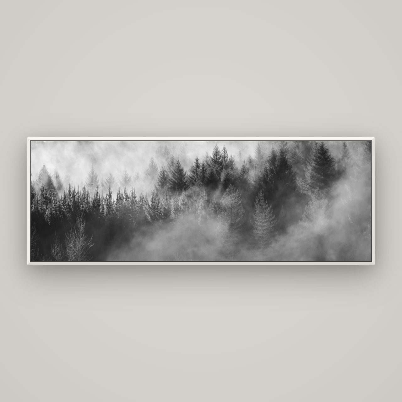 Transitions, Rotorua Redwoods — Basel White, 198×70 cm. New Zealand fine art wall art by Stephen Milner.