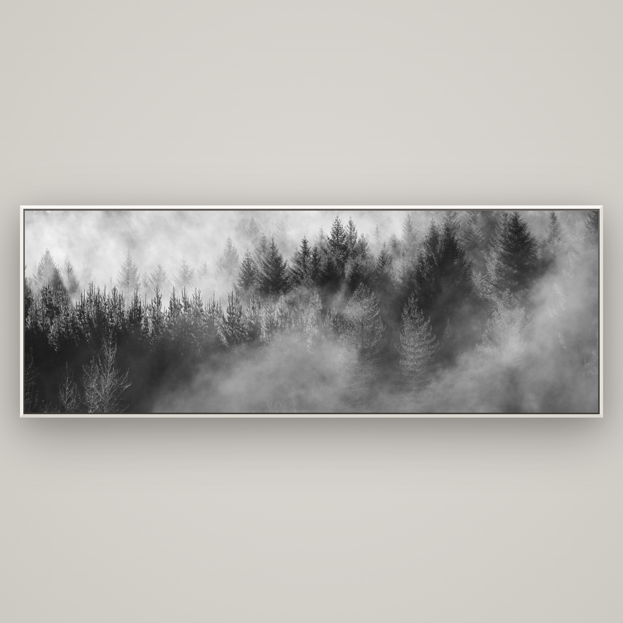 Transitions, The Redwoods — Basel White, 227×80 cm. New Zealand fine art wall art by Stephen Milner.