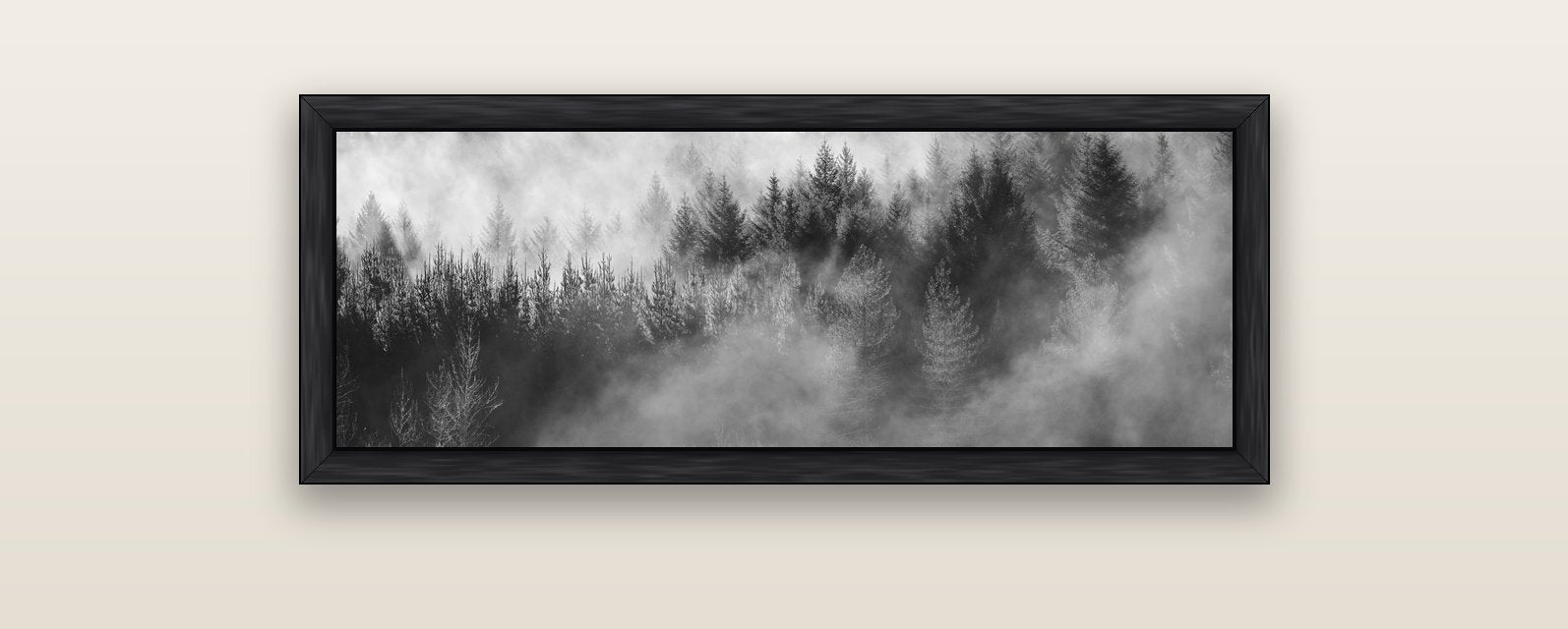 Transitions, The Redwoods — black float frame canvas, 102 × 36 cm. New Zealand fine art landscape wall art by Stephen Milner.