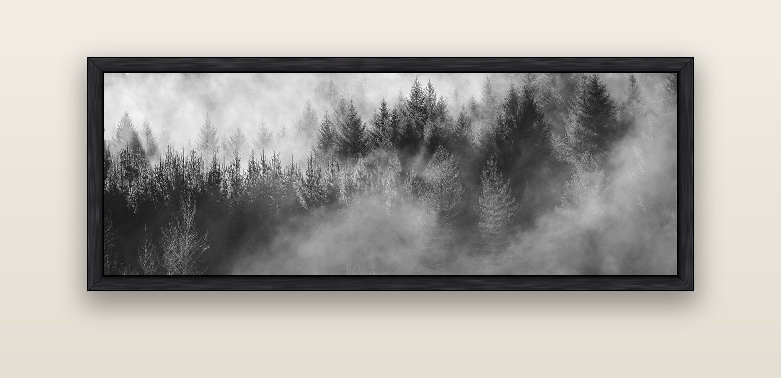 Transitions, The Redwoods — black float frame canvas, 152 × 56 cm. New Zealand fine art landscape wall art by Stephen Milner.