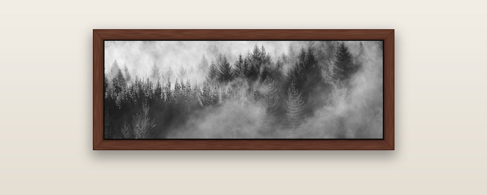 Transitions, The Redwoods — brown float frame canvas, 102 × 36 cm. New Zealand fine art landscape wall art by Stephen Milner.