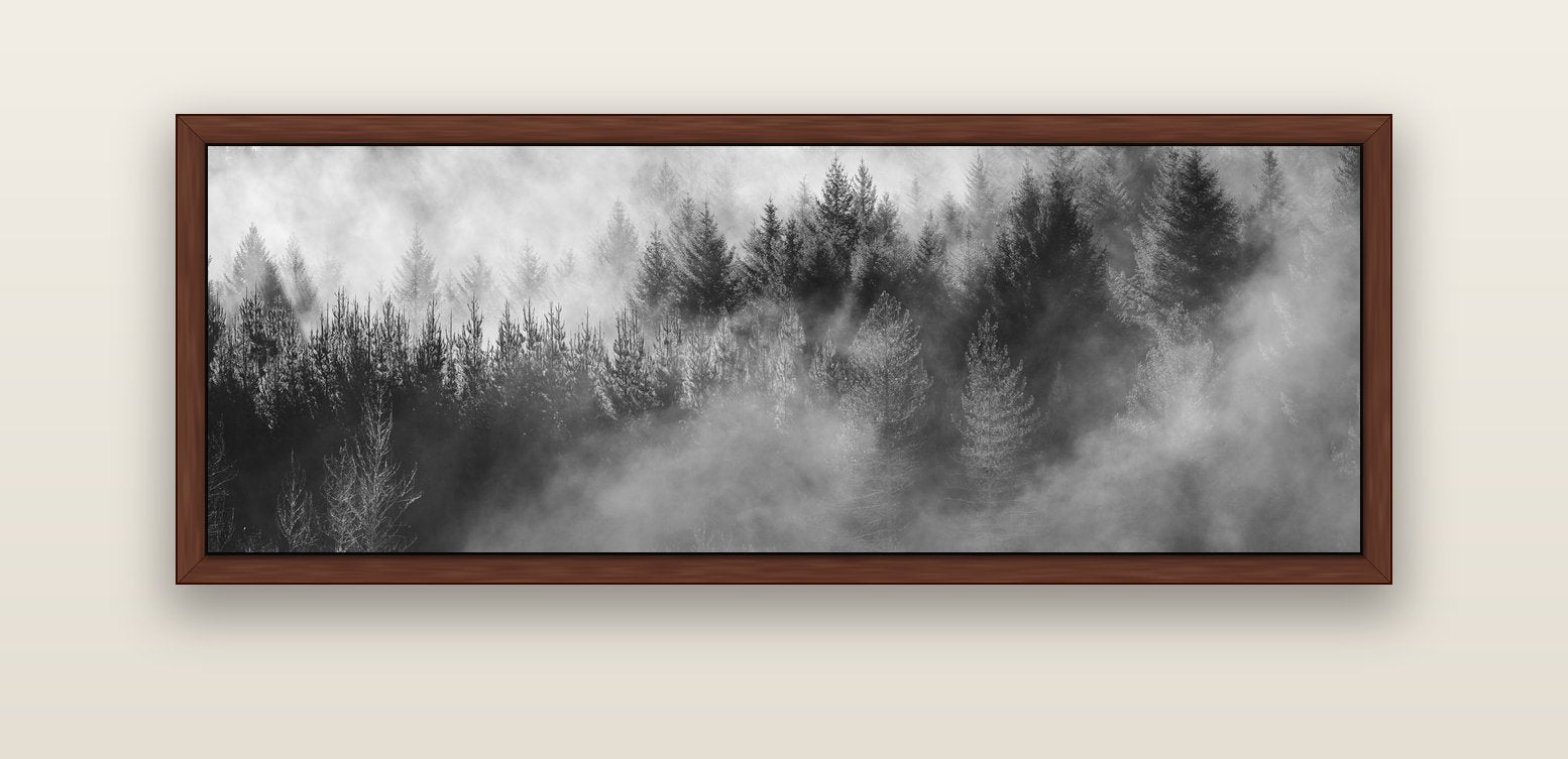 Transitions, The Redwoods — brown float frame canvas, 152 × 56 cm. New Zealand fine art landscape wall art by Stephen Milner.