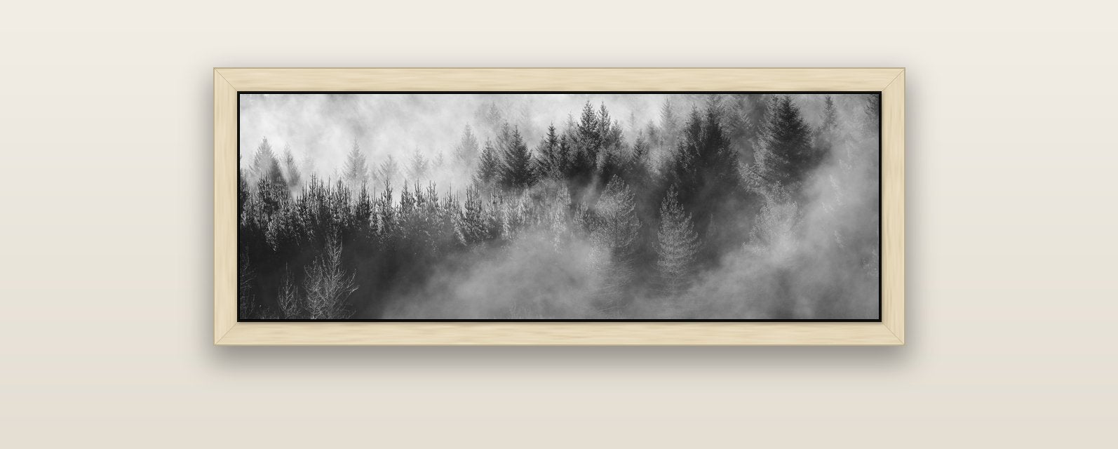 Transitions, The Redwoods — natural float frame canvas, 102 × 36 cm. New Zealand fine art landscape wall art by Stephen Milner.