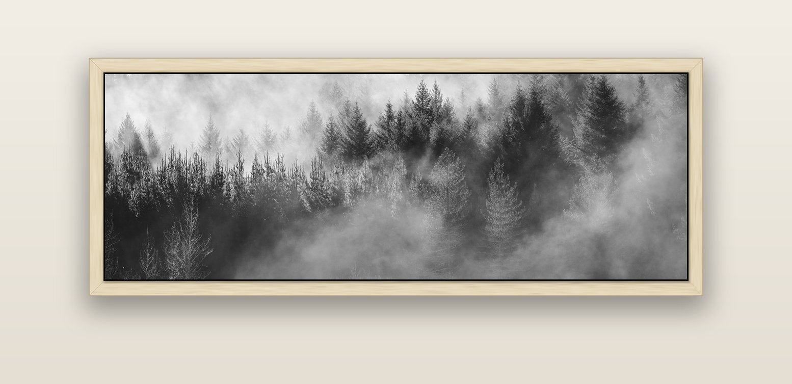 Transitions, The Redwoods — natural float frame canvas, 152 × 56 cm. New Zealand fine art landscape wall art by Stephen Milner.