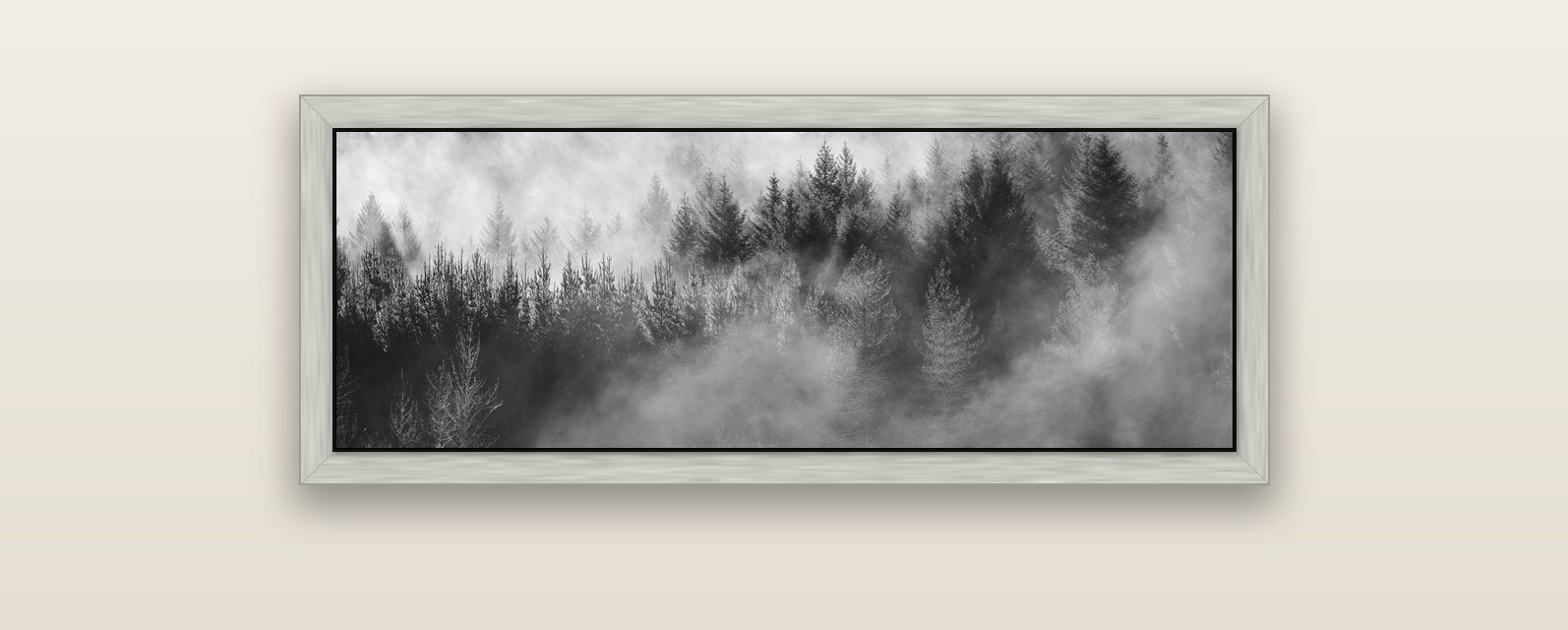 Transitions, The Redwoods — silver float frame canvas, 102 × 36 cm. New Zealand fine art landscape wall art by Stephen Milner.