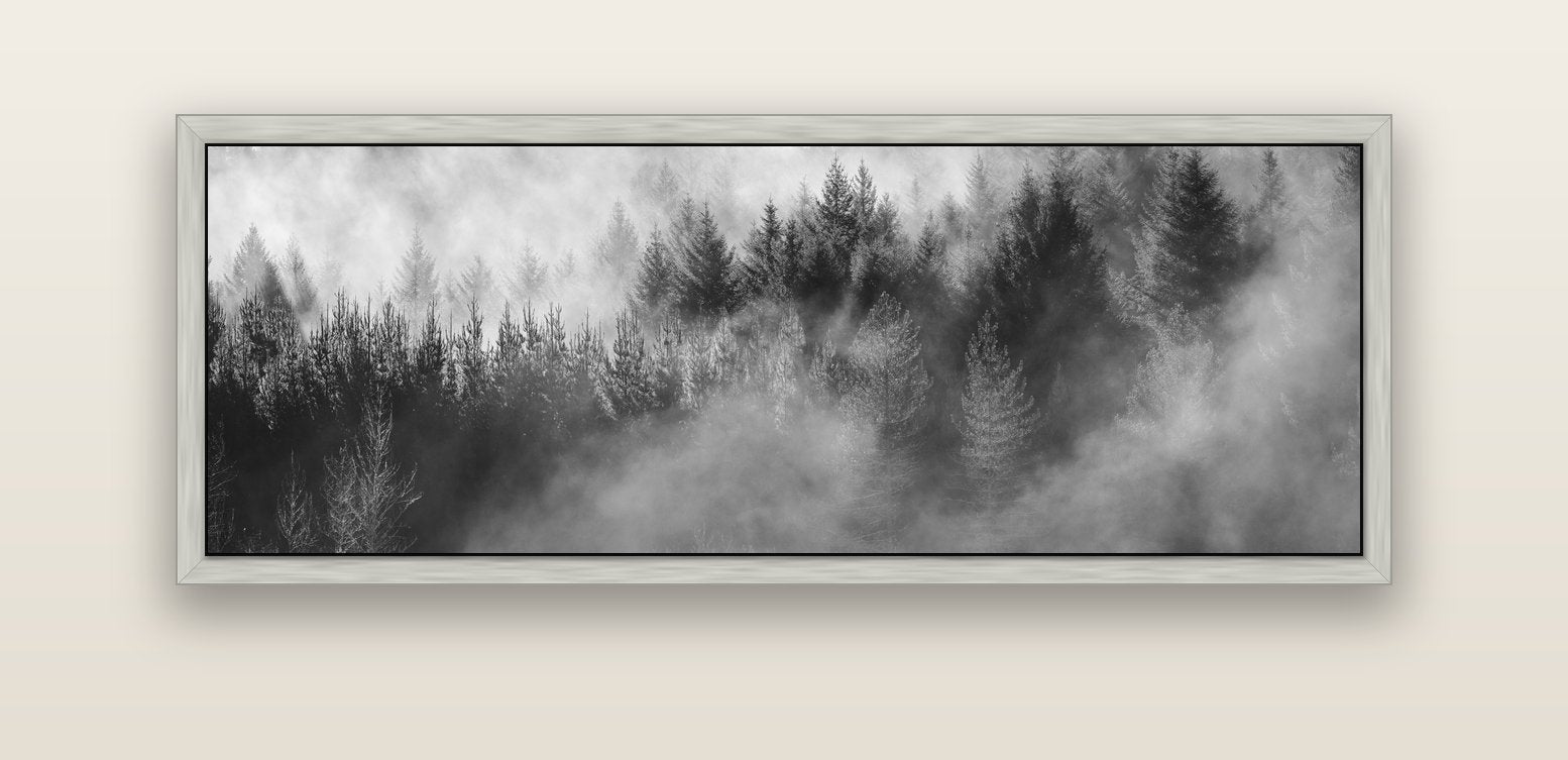 Transitions, The Redwoods — silver float frame canvas, 152 × 56 cm. New Zealand fine art landscape wall art by Stephen Milner.